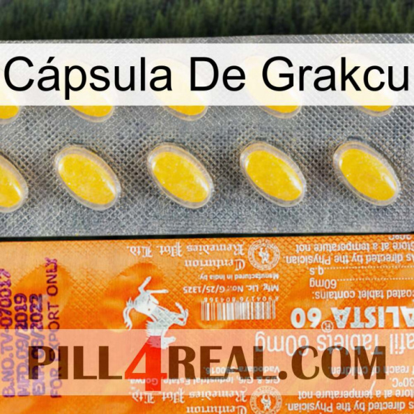 Cápsula De Grakcu new05.jpg